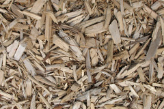 biomass boilers Tregarne